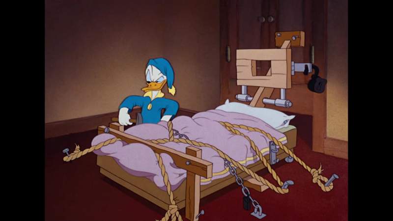 Maybe I'm just a duck but I'm human