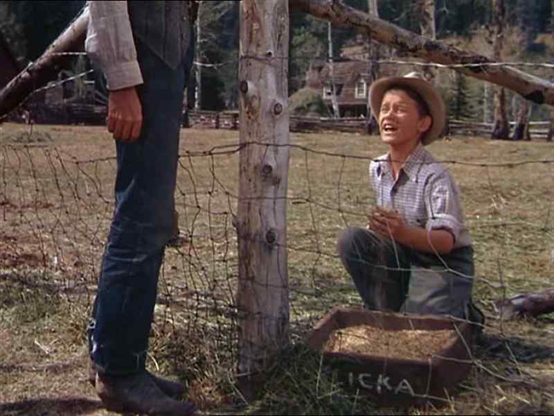Maybe she don´t like oats