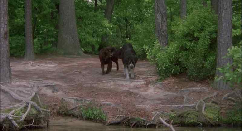 Maybe we should stop here for a minute. They'll never find us here