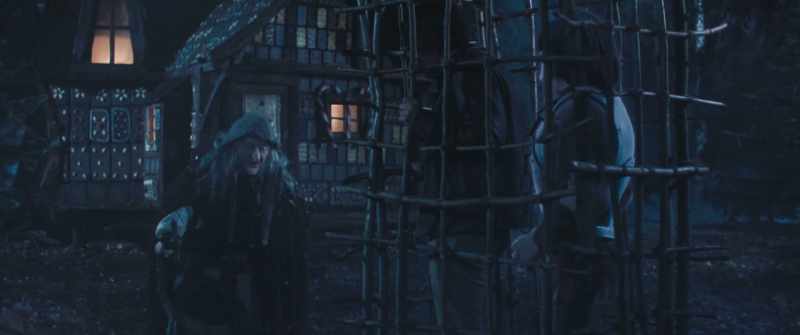 Maybe that Smartass author was right. - Then why the cage?