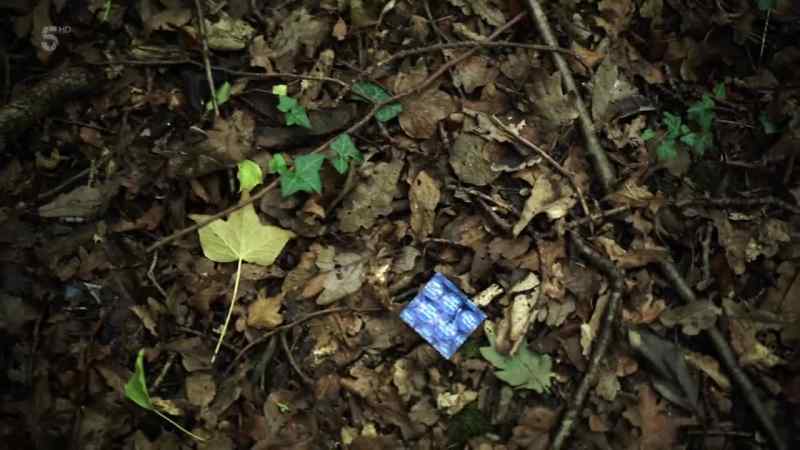 Maybe the killer used something that he found inside the house