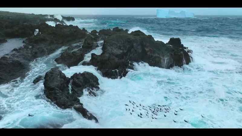Maybe the solution is not to fight the ocean