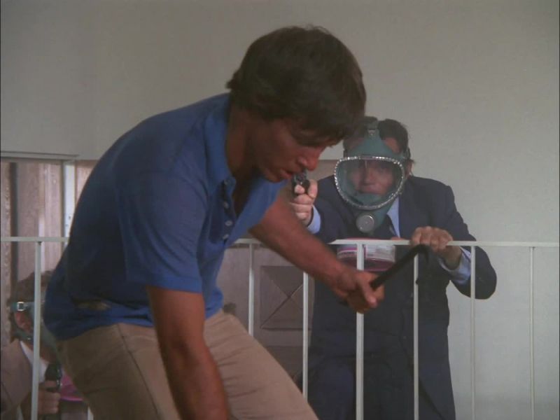 McGarrett: HOLD IT!
