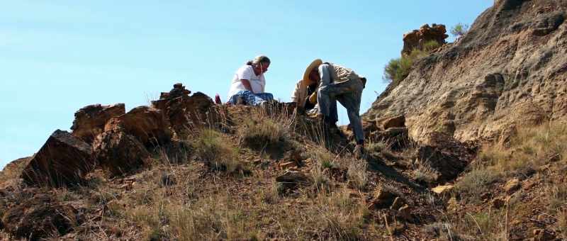 and me to go to Hell Creek formation in Montana