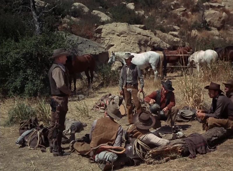 Me and the boys bring horses