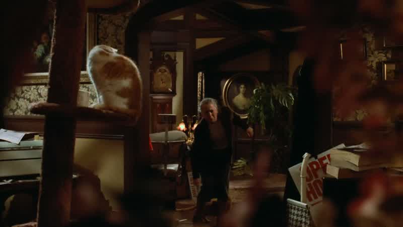 Mean kitty, you start eating before everybody gets here