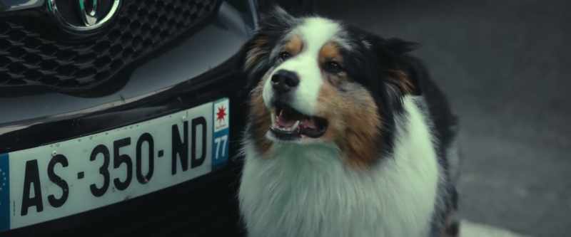 (Medic 1 groans) - (Albert barking)