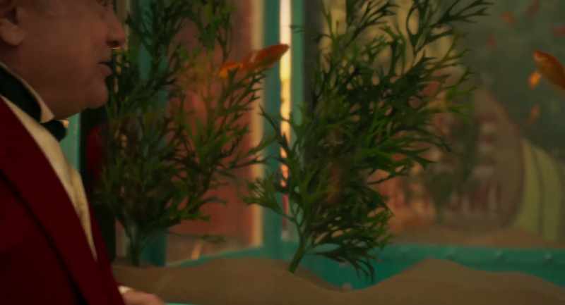 Meet the bewitching Miss Atlantis