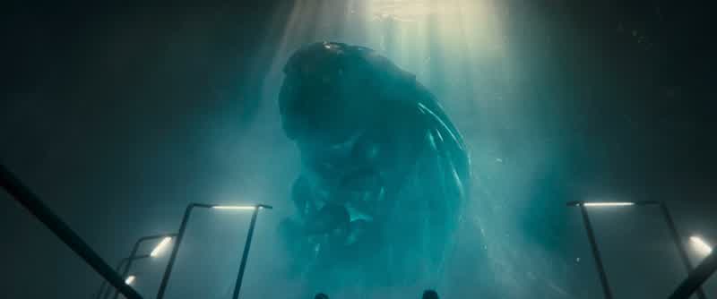 Meet Titanus mosura