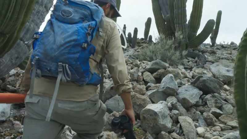 Meeting them here is desert scientist Ben Wilder