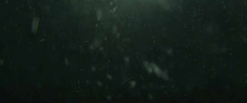 Mega-Tsunami warning