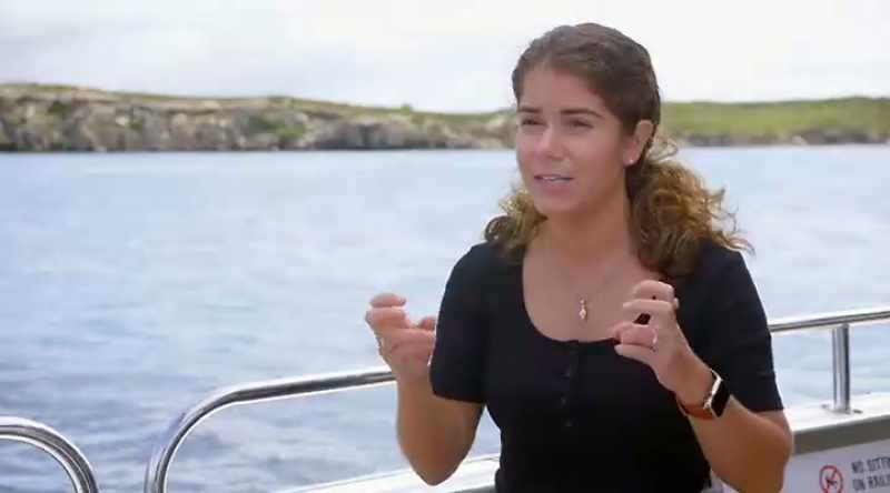 MELISSA: For a shark to have gone rogue it needs