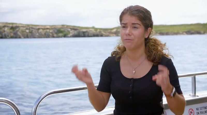 MELISSA: In order for a shark to be able to have gone rogue