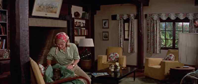 Memsahib, Pati. Hmm? What's happened?