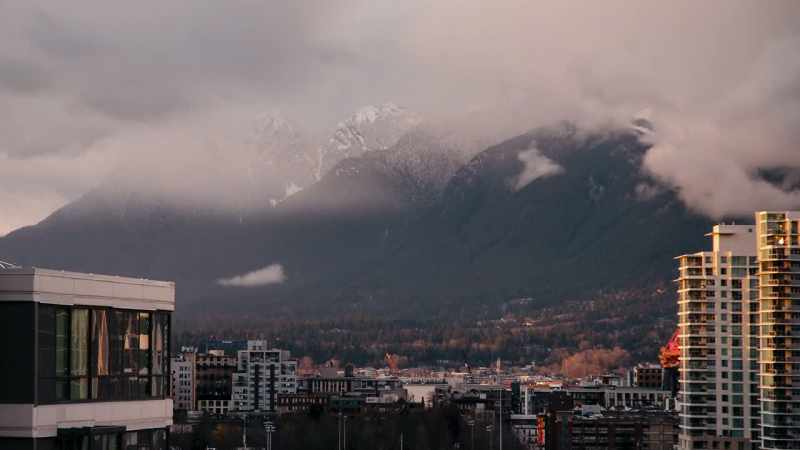 Men vi måste se sanningen i vitögat