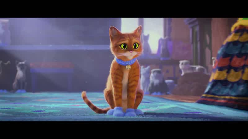 Meow HuhOhWhat Did I say something salty It's my second language