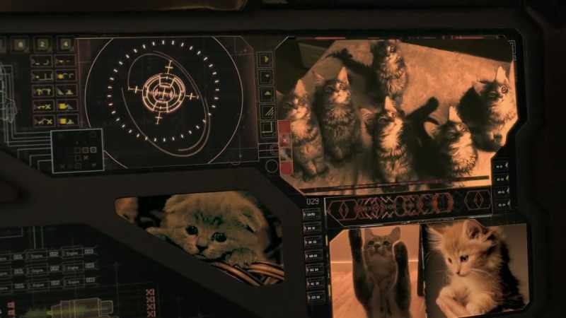 [meowing] -[laughing] Oh, my crackers!