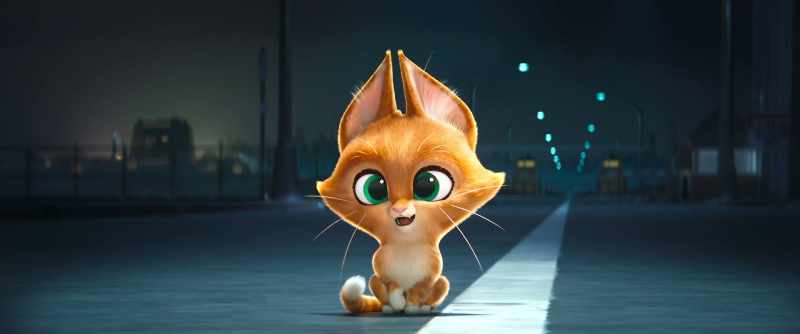 [MEOWS]