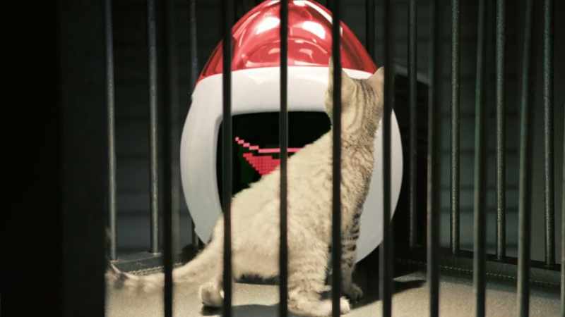 [meows]