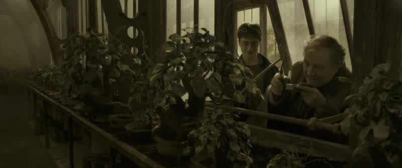 Merlin's beard, Harry!