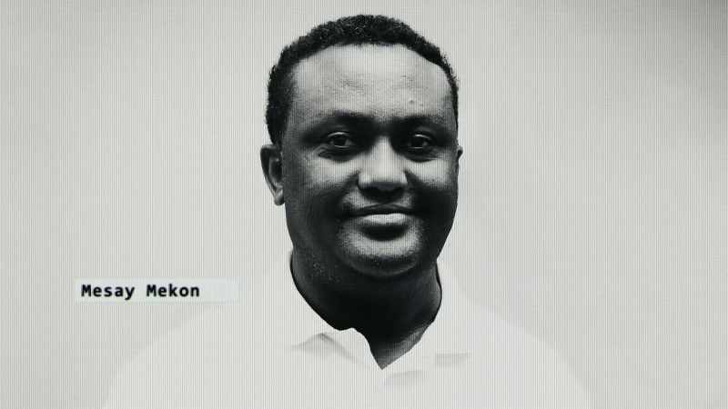 Mesay Mekonnen is a journalist for ESAT