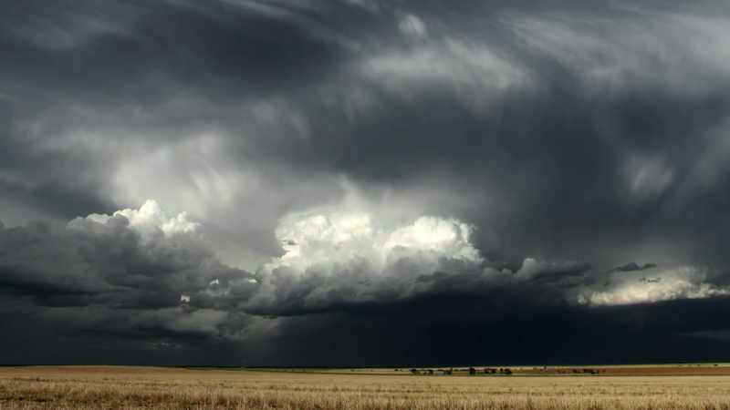 METEOROLOGISTS BELIEVE VITAL CLUES