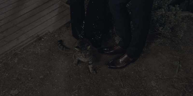 [mews] -[Daisy and Louis laugh]