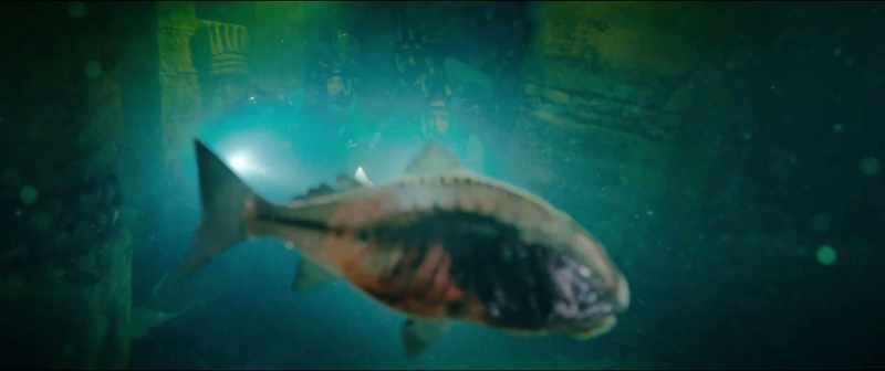 [Mia] It's a Mexican tetra-- a blind cave fish