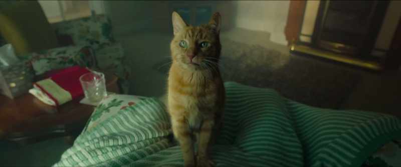 (MIAOWS)