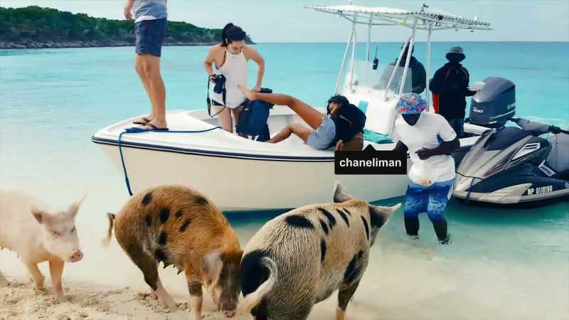 MICHAEL: Chanel Iman actually fell 'cause she's getting bit