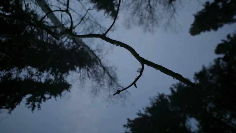 MICHAEL: Facing nature every day with your wits