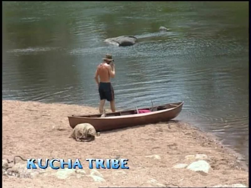 MICHAEL: Four bites, two fish, that's it