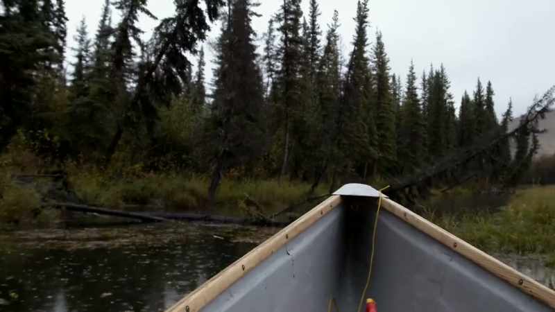 MICHAEL: My pursuit of new wild river