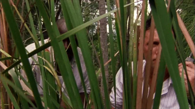 [ Michael Narrating ] When fighting in the wilderness