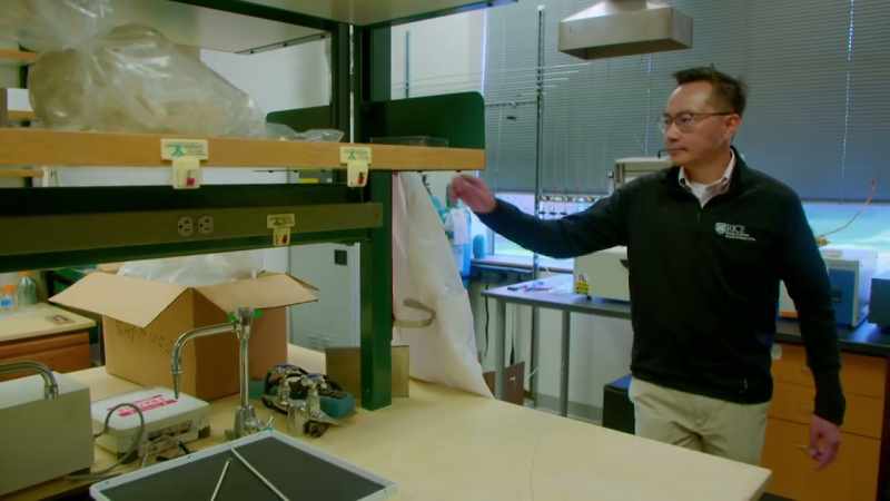 Michael Wong is a professor of chemical engineering