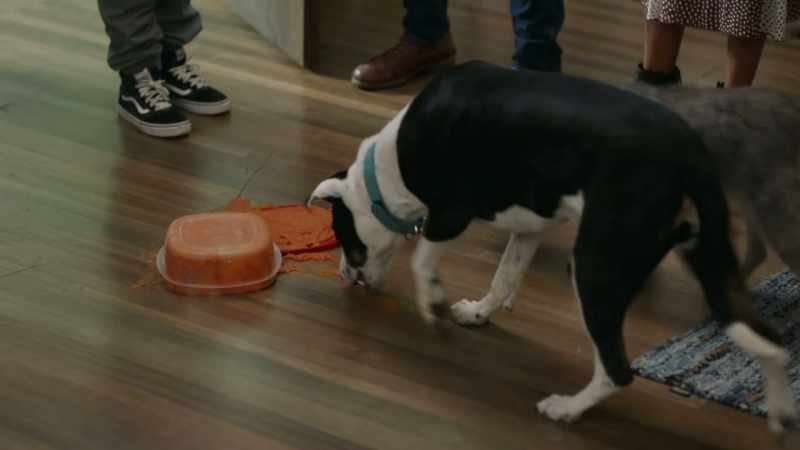MICHELLE: Aw... [barking]