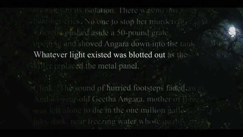 MICHELLE: Whatever light existed was blotted out