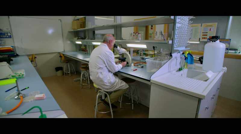 Microbial genome sequencing started sometime in the 1990s