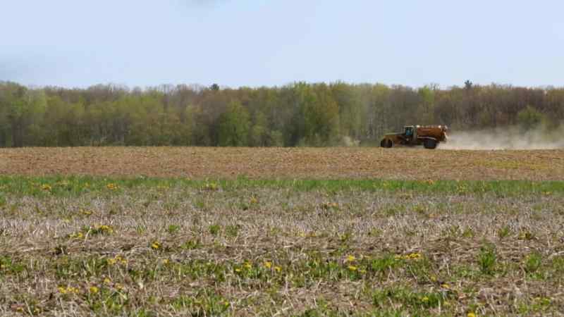 Mid-May is an especially busy time