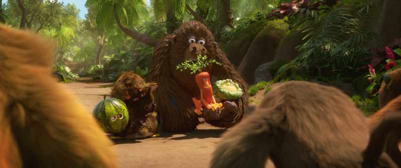 Miguel bad monkey, bring fruit and vegetables