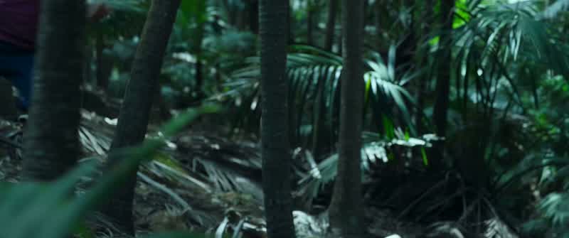 Miguel!