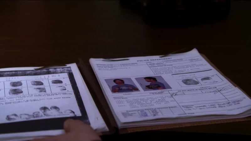 MIKE DELFINO