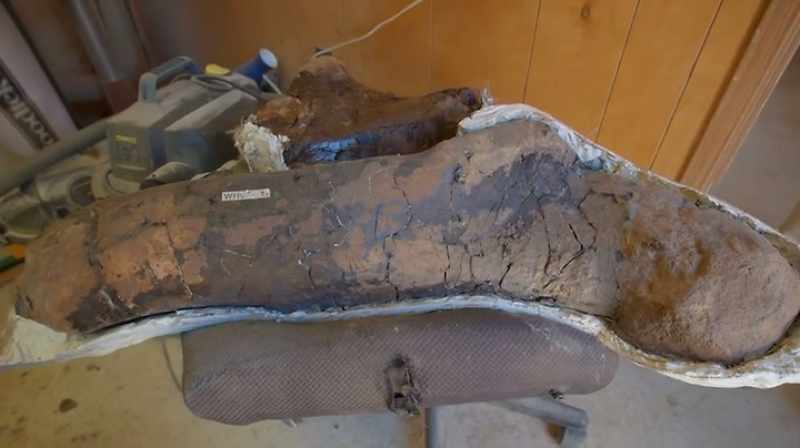Mike: THIS IS OLD COWBOY REX, FOUND IN 2011