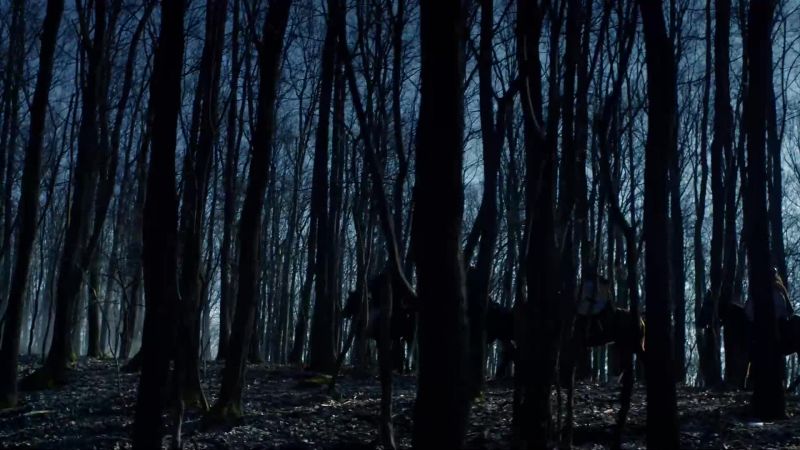 (MILDRITH) They're following us