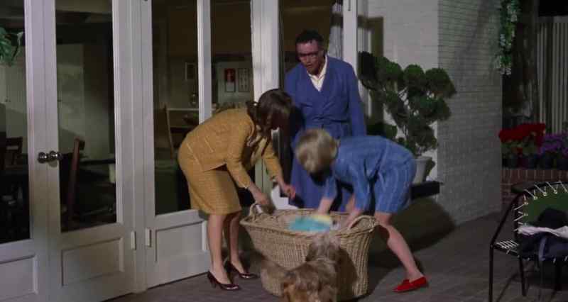 Min: Come on, Sam. We're ready. Come on. - Dear, I absolutely refuse to do this