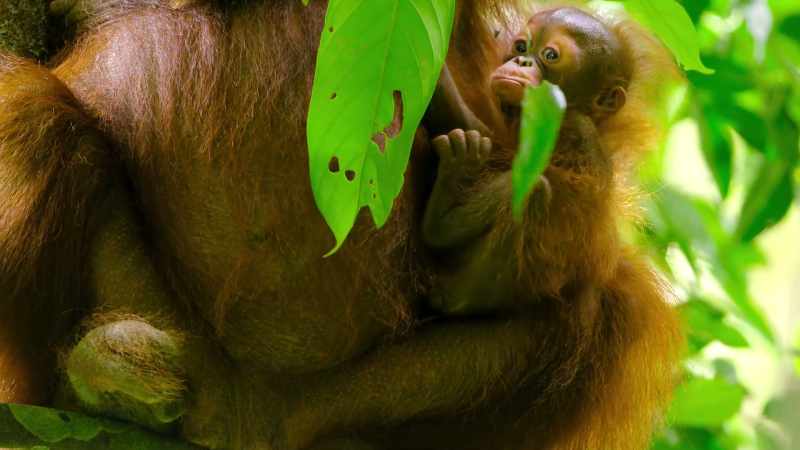 Mina, her daughter, is just a few months old