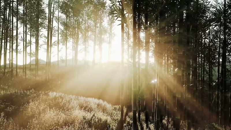 Mindfulness helped me identify my negativity bias
