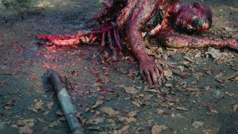 MINERVA: This is Pilgrim's work. He didn't spare anyone