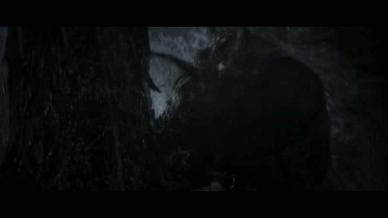 [Minotaur roars]