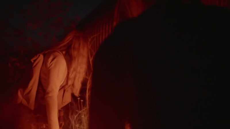 [Mireya] ...definitely looks like